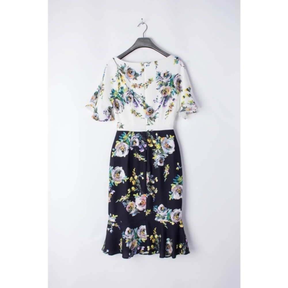 Phase Eight Anita Floral Dress - Picture 9 of 13